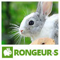 Rongeurs